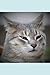 Notebook: deep thoughts - C...