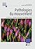 Pathologies du mouvement (Traité de neurologie) by Christine Tranchant