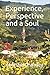 Experience, Perspective and...