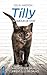 Tilly, un amour de chat