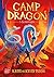 Camp dragon - Tome 1: La montagne