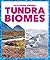 Tundra Biomes (Pogo Books: Exploring Biomes)