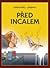Před Incalem
