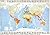 Michelin The World Map (Laminated) No. 905, 12e