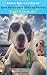 Cómo Dar a tu Perro una Verdadera Vida de Perros: Y que él te ame por ello (Spanish Edition)