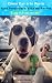 Cómo Dar a tu Perro una Verdadera Vida de Perros: Y que él te ame por ello (Spanish Edition)