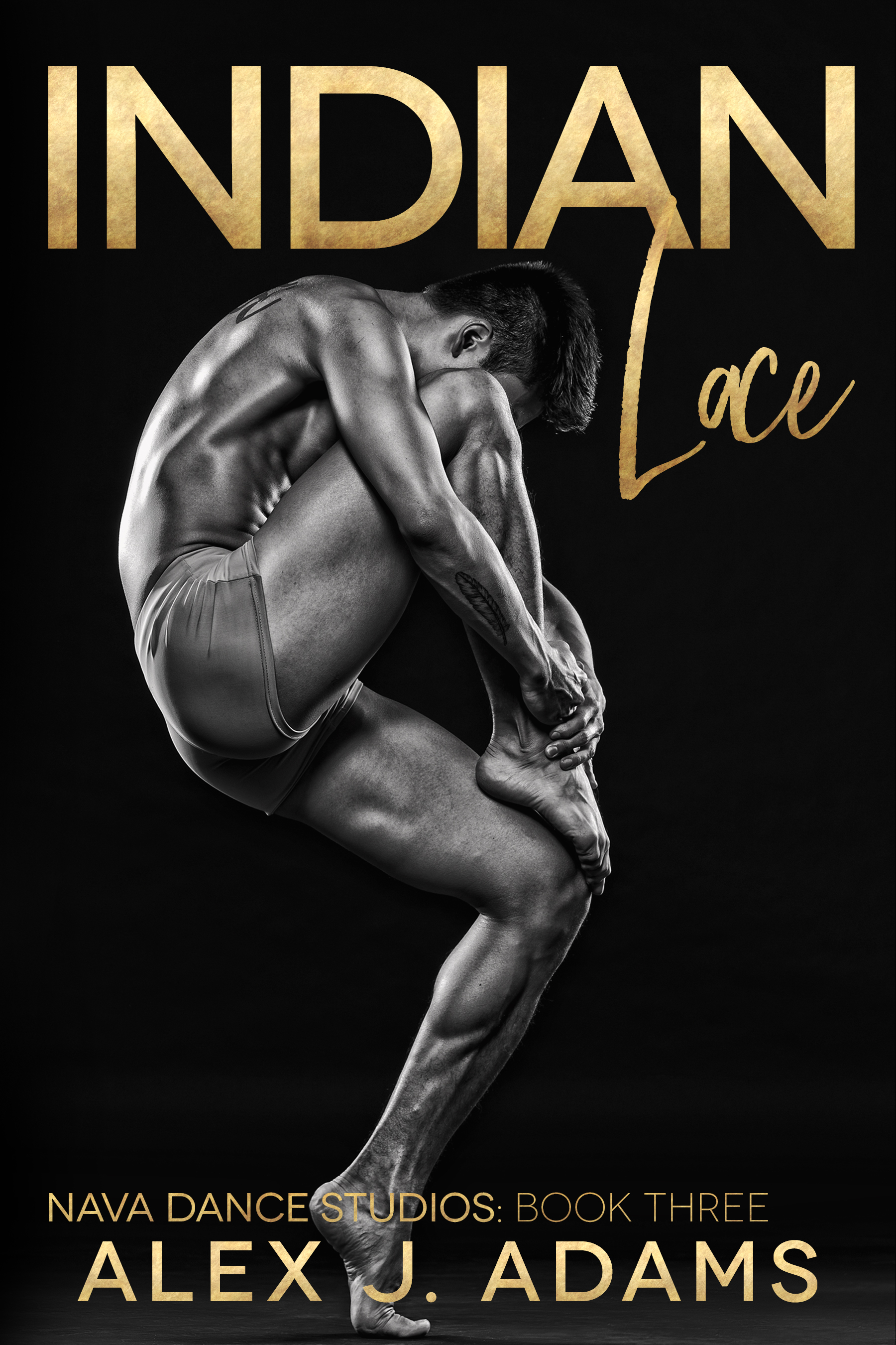 Indian Lace (Nava Dance Studios, #3)