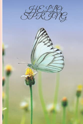Hello Spring (Paperback)