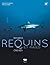 Requins et raies: Regards c...