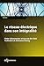 Le réseau électrique dans s...