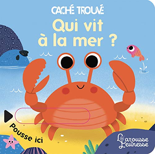 Qui vit à la mer ? (Hardcover)