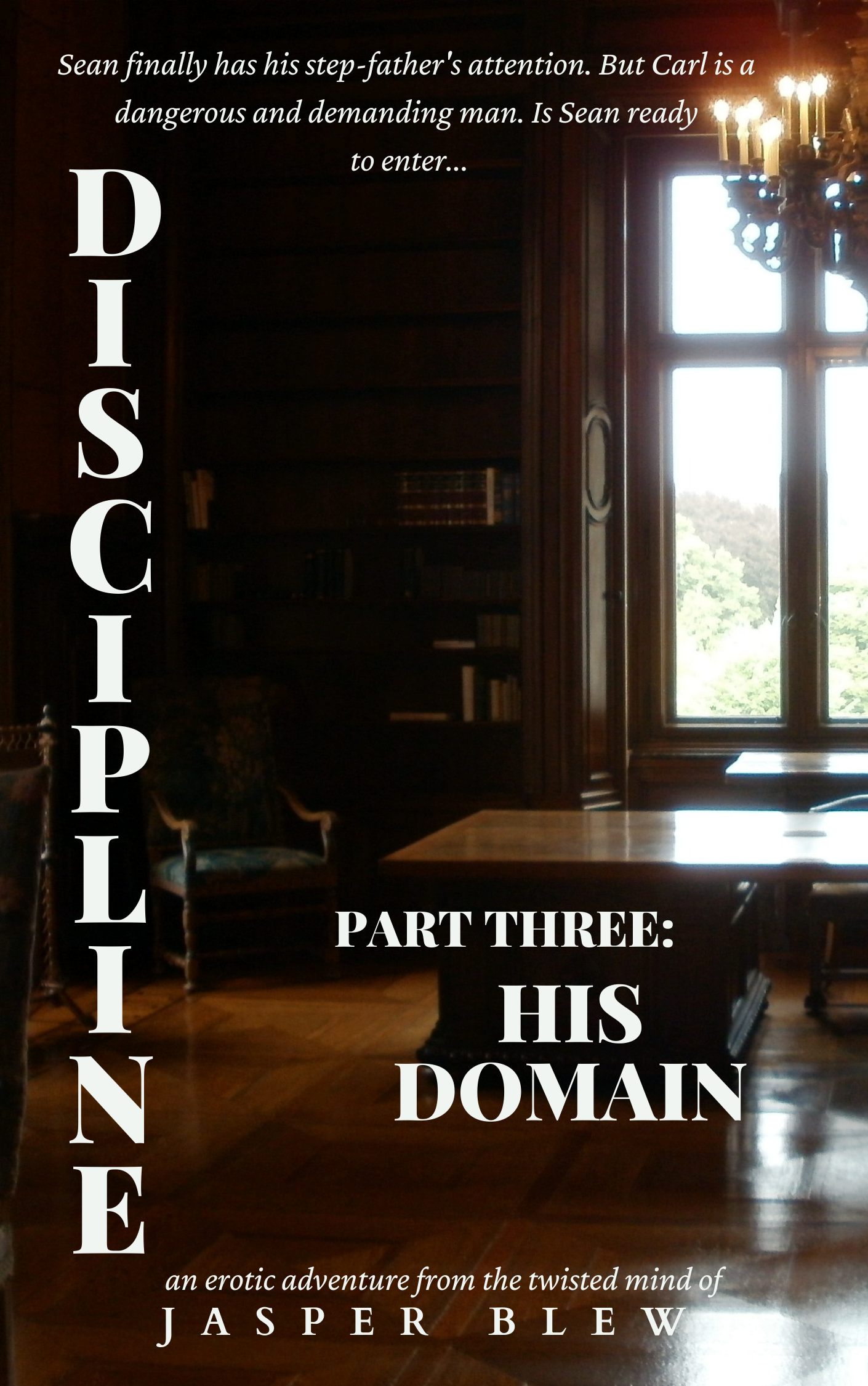 Discipline Part Three: His Domain (Discipline #3)