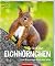 So lebt das Eichhörnchen: Eine Bilderreise durch den Wald