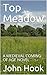 Top Meadow: A MEDIEVAL COMING OF AGE NOVEL