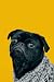 Pug Journal: Notebook