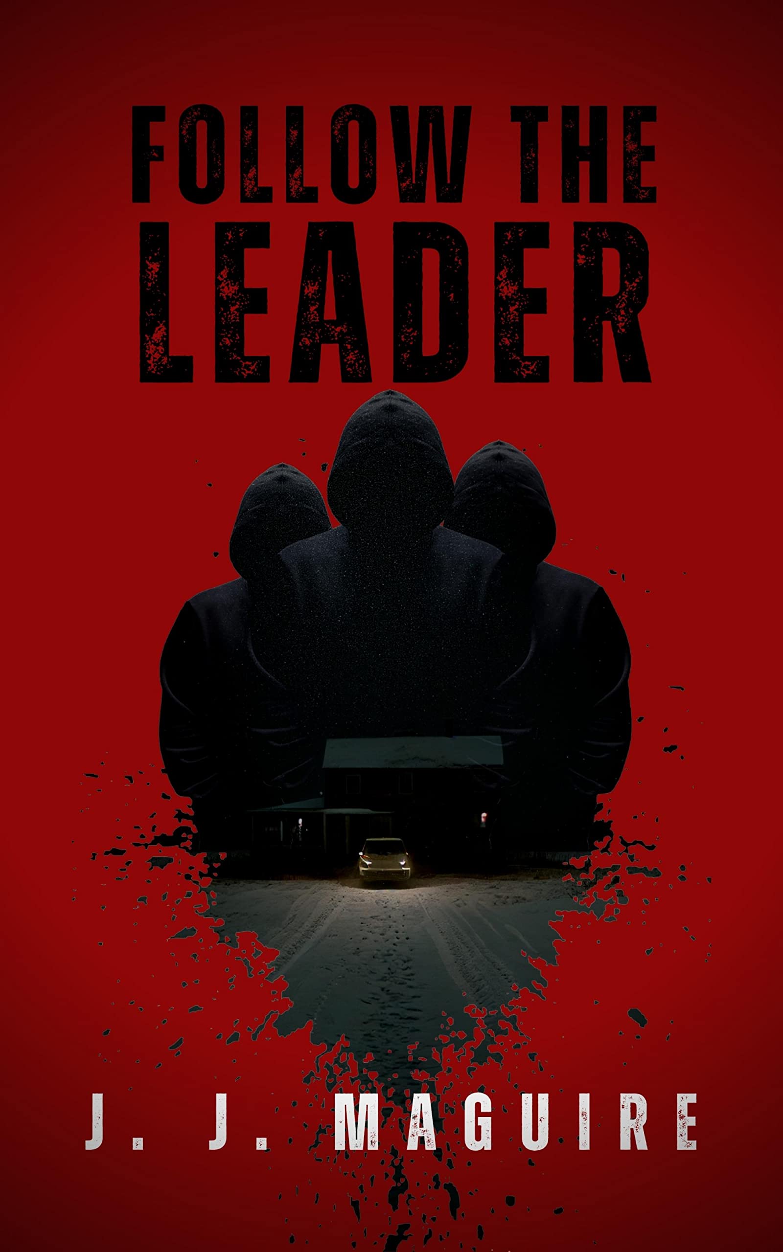 Follow The Leader (Kindle Edition)