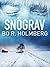 Snögrav