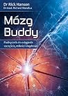 Mózg Buddy