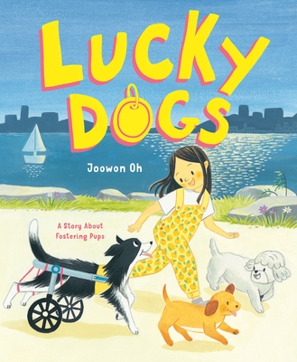 Lucky Dogs: A Story About Fostering Pups (Hardcover)
