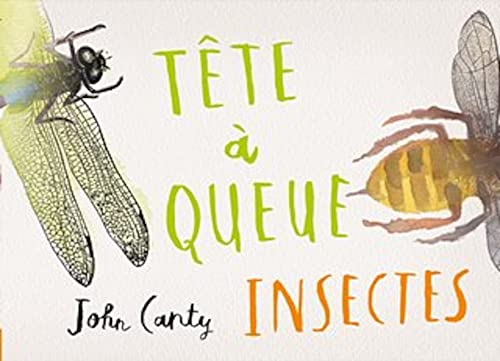 Tête à queue - Insectes (Paperback)