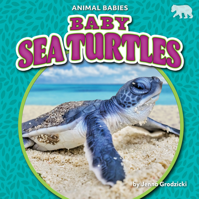 Baby Sea Turtles (Animal Babies Set Three)