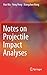 Notes on Projectile Impact Analyses