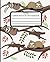 Sloth Composition Notebook: Cute Blank Wide Ruled Notebook Journal Perfect for School, College or Everyday Writing
