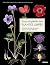 Encyclopédie des plantes libres - Toutes les familles de plan... by Pierre Vignes