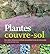 Plantes couvre-sol. Des idées originales pour un jardin plein de couleurs et sans entretien