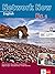 Network Now. Student's Book mit 3 Audio-CDs B1.1 by Victoria Adams