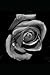 Notebook: reflection - Cahi...