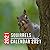 Squirrels Calendar 2021 by Hannah Craig