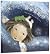 Sofia's Dream (Hardcover) by Land Wilson