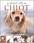 Grand Livre du Chiot : Le Guide Ultime Pour �lever