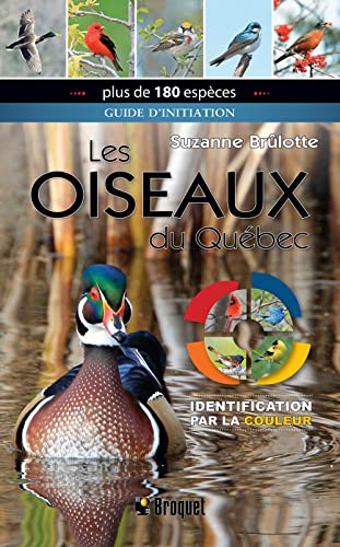LES OISEAUX DU QUEBEC. GUIDE D'INITIATION. IDENTIFICATION PAR LA (Paperback)