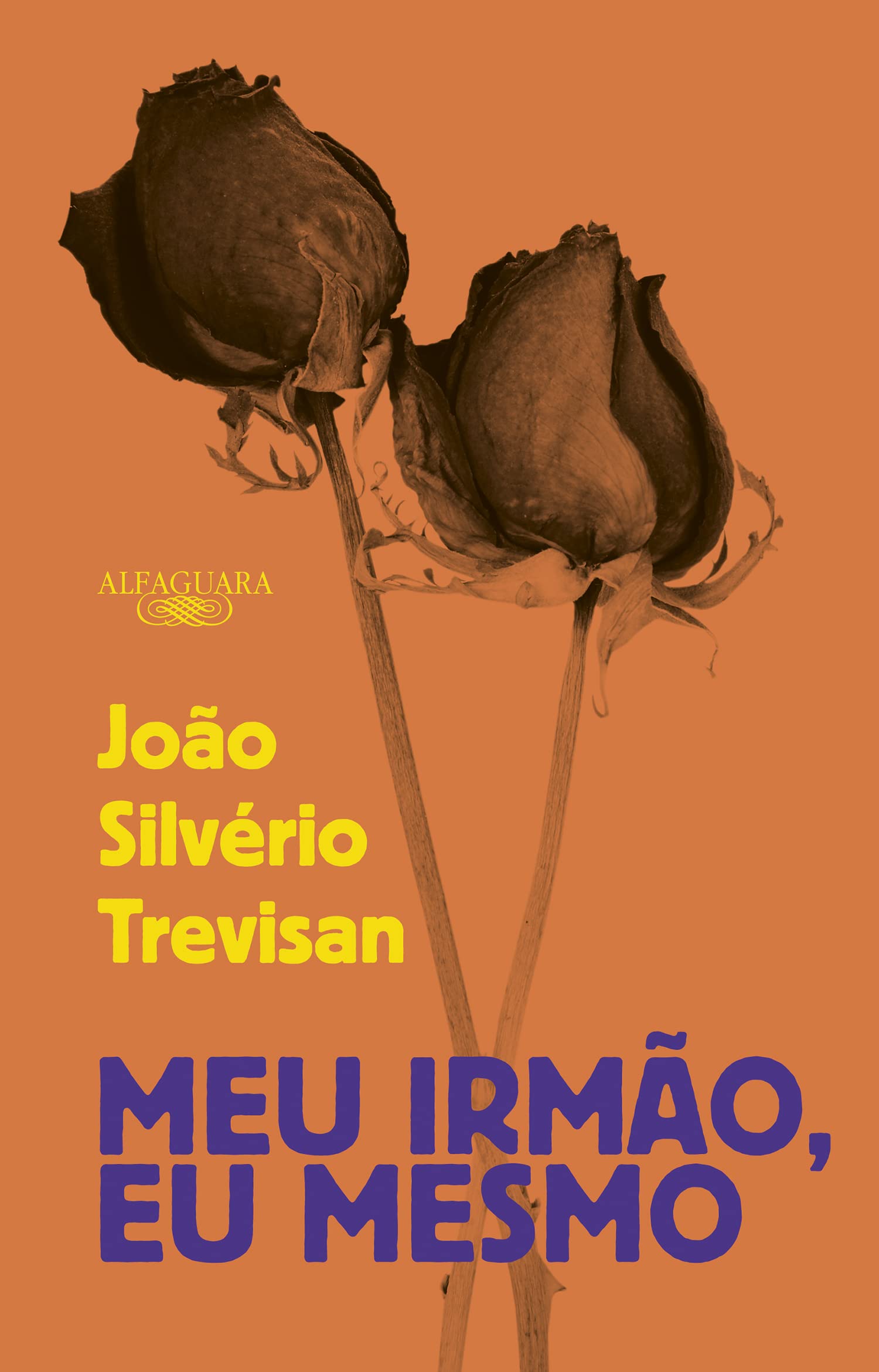 Meu irmão, eu mesmo (Paperback)
