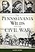 The Pennsylvania Wilds and the Civil War by Kathy Myers