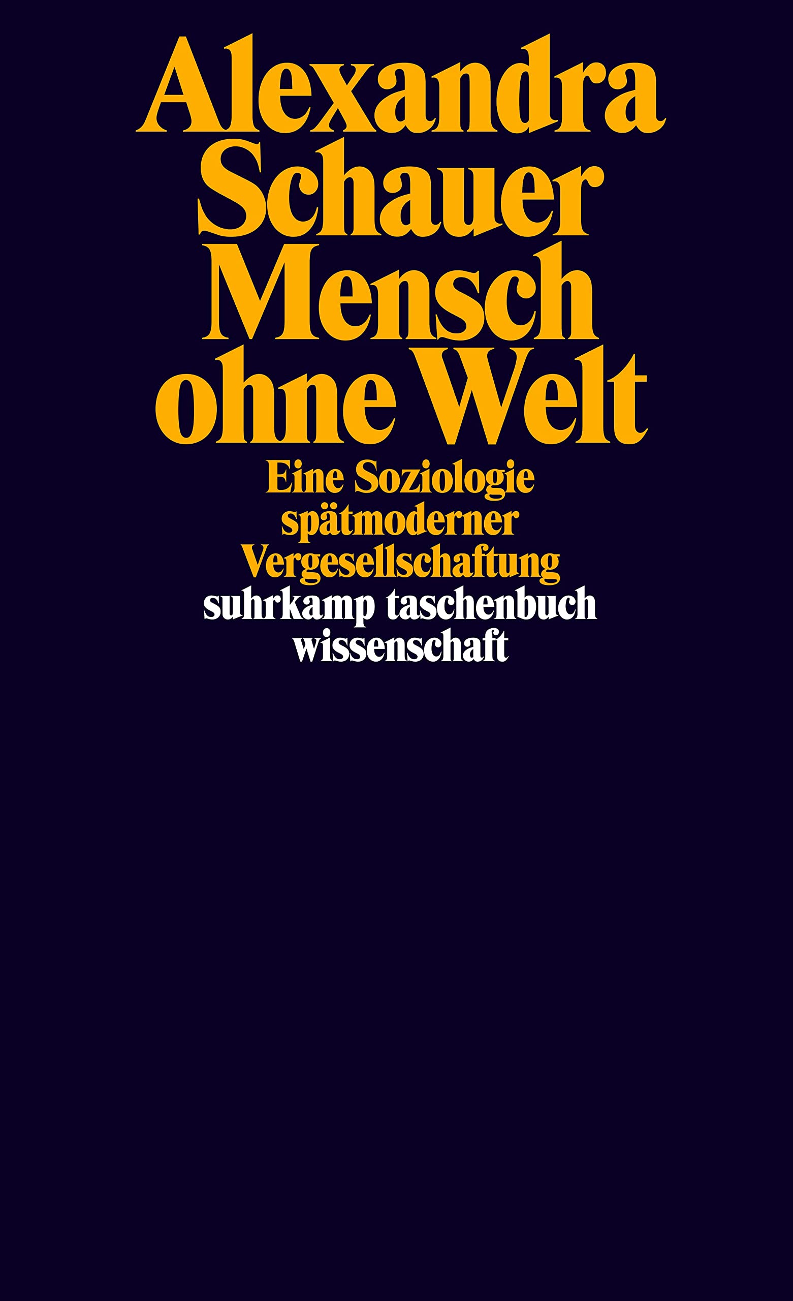 Mensch ohne Welt: Eine Soziologie spätmoderner Vergesellschaftung (suhrkamp taschenbuch wissenschaft)