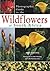 Photographic Guide to the Wildflowers of South Africa