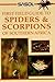 First Field Guide to Spiders and Scorpions of Southern Africa