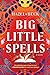 Big Little Spells (Witchlore, #2) by Hazel Beck