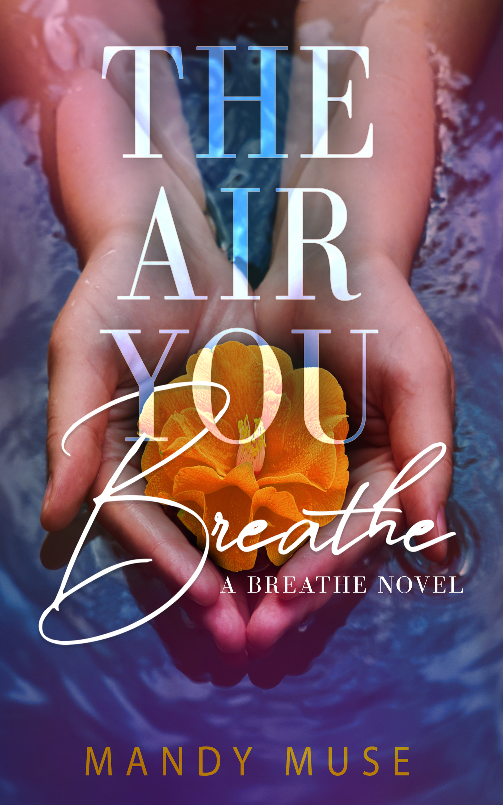 The Air You Breathe (ebook)