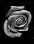 Notebook: in full bloom - C...