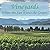 Vineyards: Where the Sun Ki...