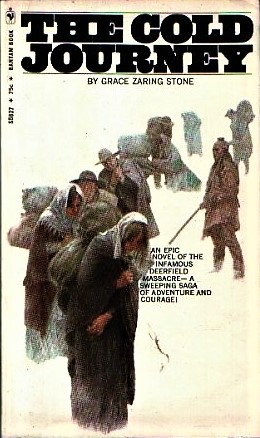 The Cold Journey (Paperback)