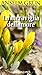 La meraviglia dell'amore