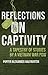 Reflections on Captivity: A Tapestry of Stories by a Vietnam War POW