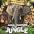 Animal Champions of the Jungle by Madeline Taylor