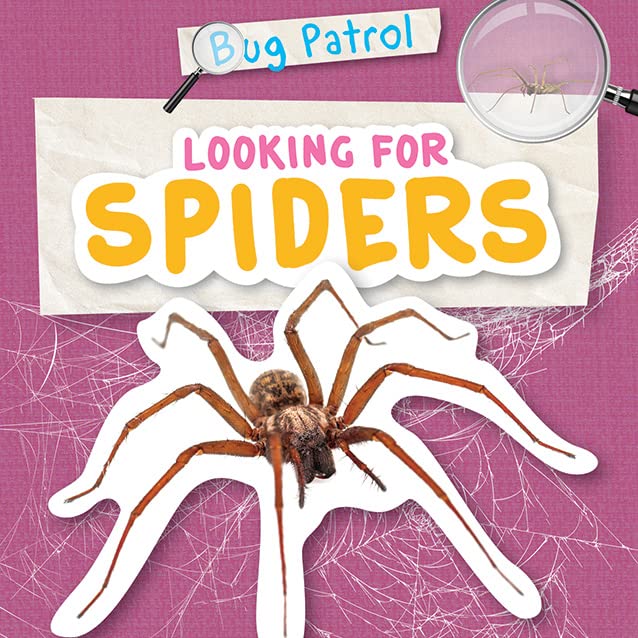 Looking for Spiders (Bug Patrol)