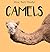 Camels
